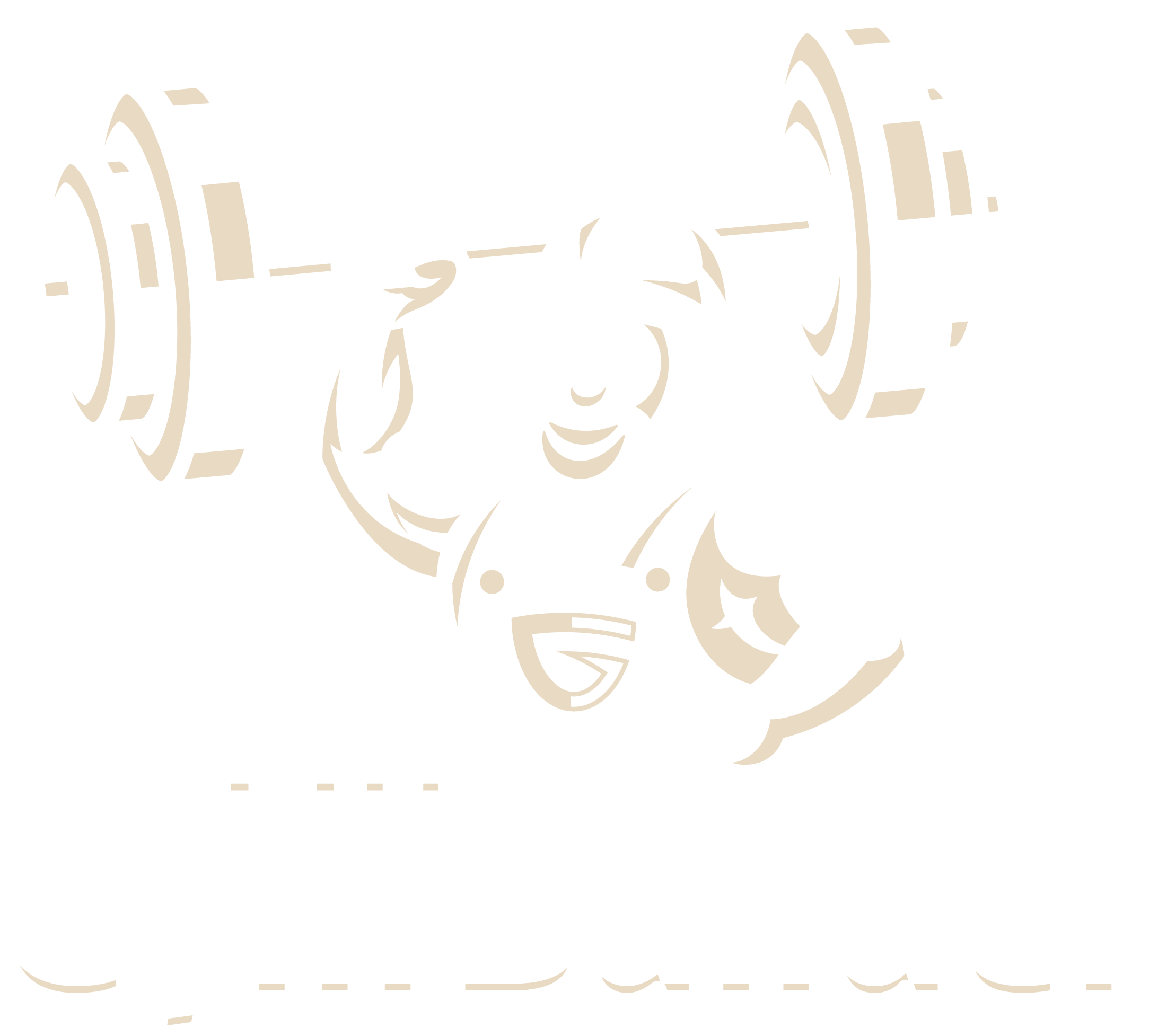 Mr. Gym Builder